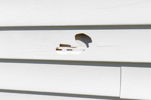 How To Choose The Right Materials for Your Siding Installation in 'Blanchester, OH